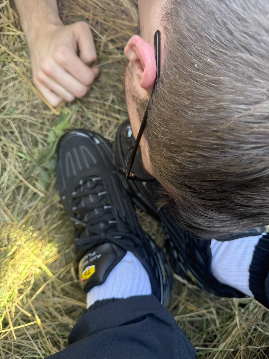 Master M tweet media