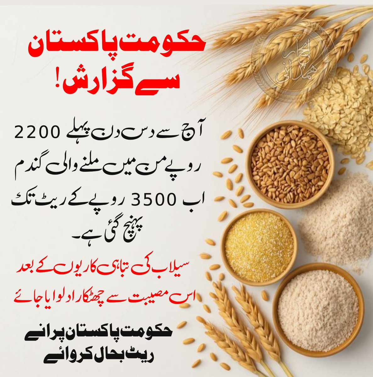 hamdani57_syed's tweet image. اگر اس گندم کے ریٹ کو ابھی سے نہ روکا گیا تو ممکن ہے یہ 4000 سے اوپر جائے
#pakistan