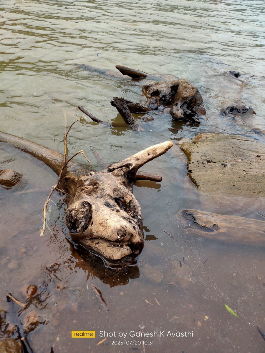 Devavasthi's tweet image. Sunday, 7th September

Today&apos;s Daily Picture Theme is &apos;Unusual&apos;

RT or reply with your own photo

Tomorrow&apos;s theme will be &apos;Visitor&apos;

#DailyPictureTheme