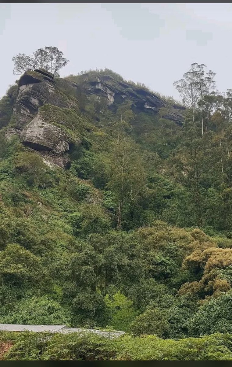 Wandu wapo wa dawida na tuweta mwasindamana? Wusenyi voro rahenga kufuma mzinyi