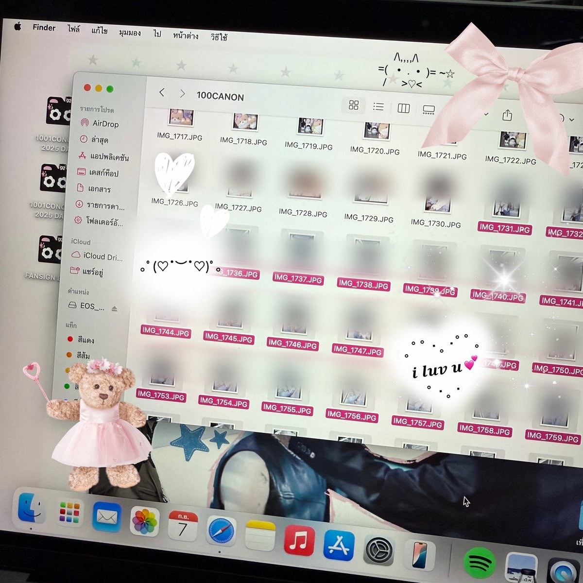 🍮ྀིྀིpurr รับถ่ายรูปหน้าคอนเสิร์ต.อ่านหมุดก่อนน้า tweet media