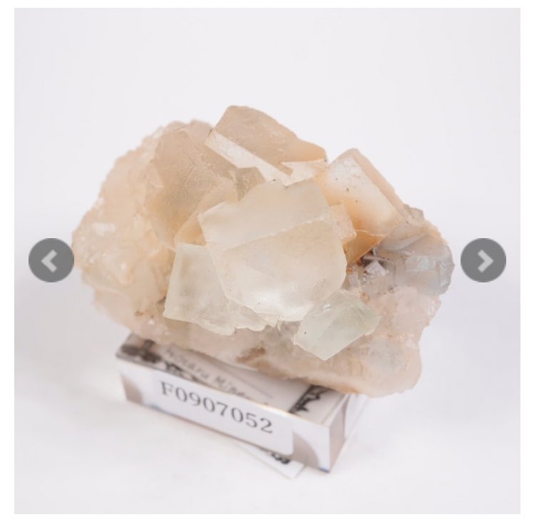 ほたみねスナイプ
狙ってたアクアマリンとスモーキークォーツは残念ながら敗戦。
それでも欲しかったクォーツ周りといつものフローライトは間に合ったから良かった…
x.com/hotarumineral/…