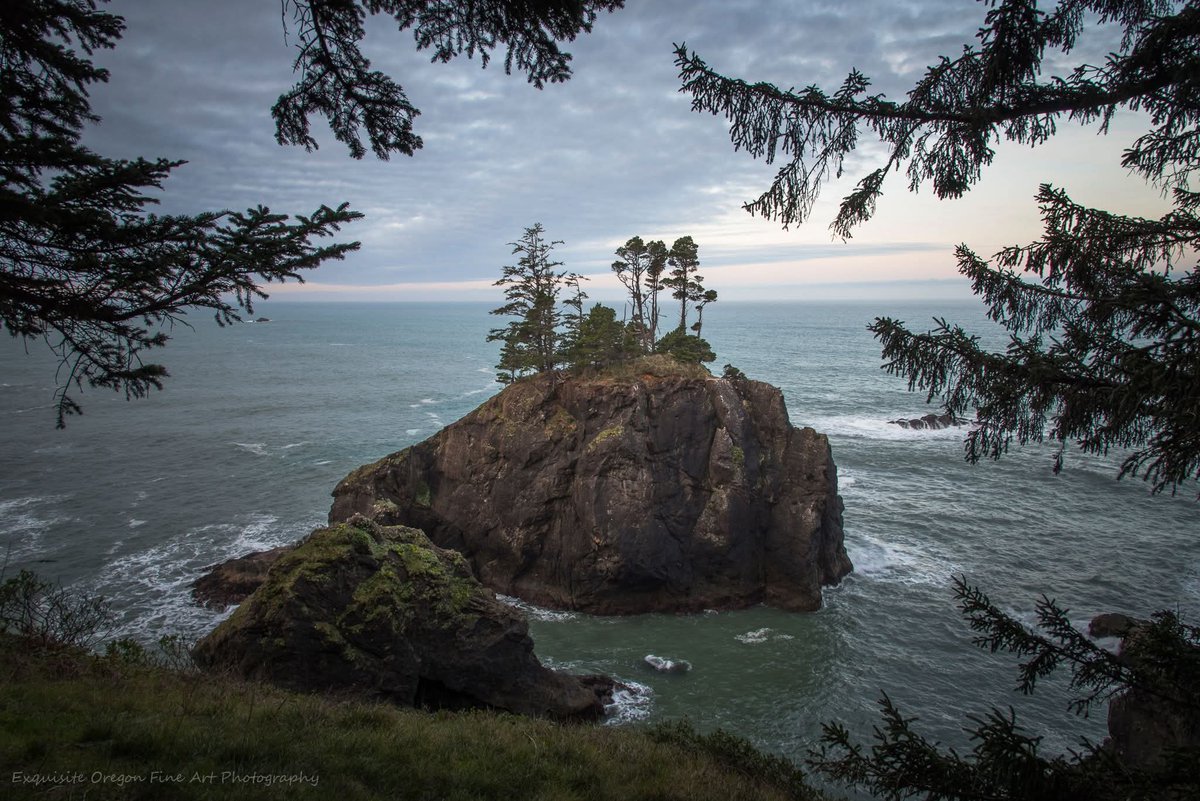 Good Morning 
I'd like to share with you a pic I took from an early morning hike in Brookings Oregon. Enjoy your day my friends.