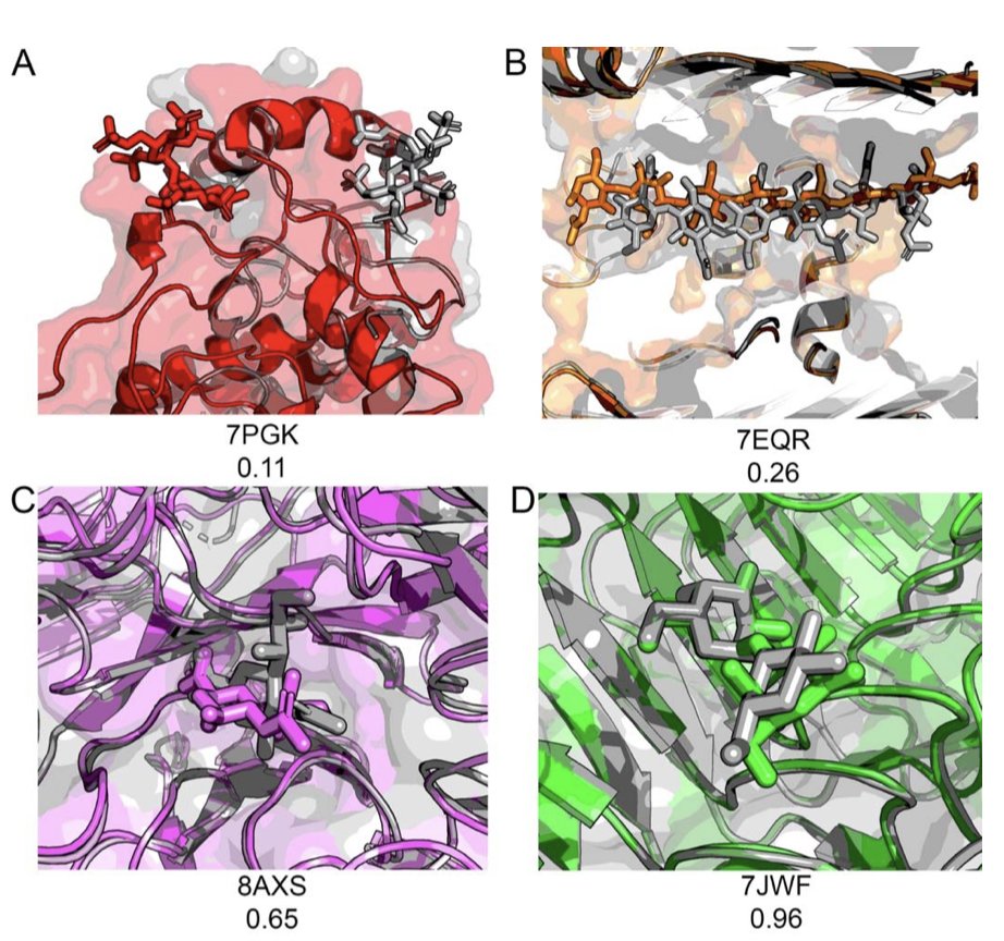 Evaluation of De Novo Deep Learning Models on the Protein-Sugar Interactome

1. A new study evaluates the performance of various deep learning models, including AlphaFold3, Boltz-1, Chai-1, DiffDock, and RosettaFold-All Atom, on predicting noncovalent protein-carbohydrate