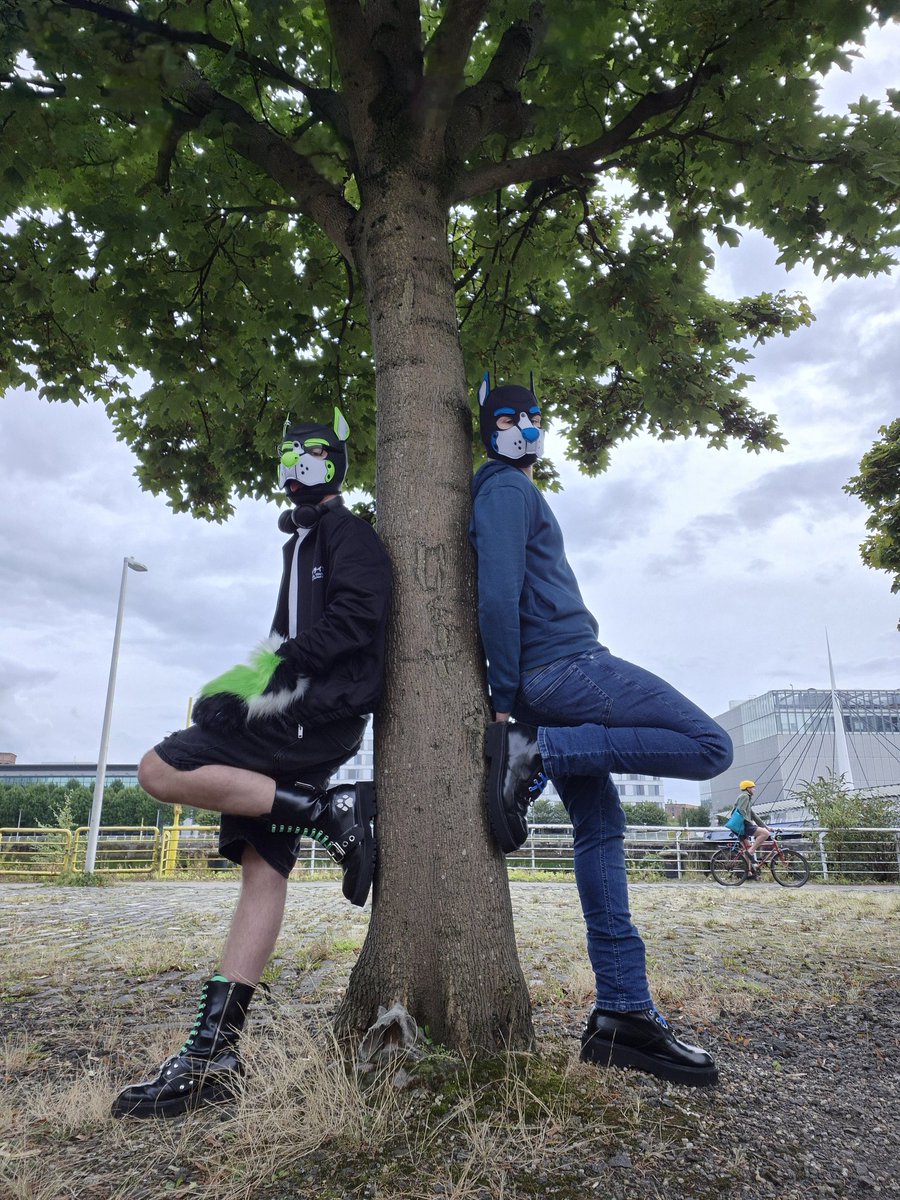 hyperwolf1.bsky.social tweet media