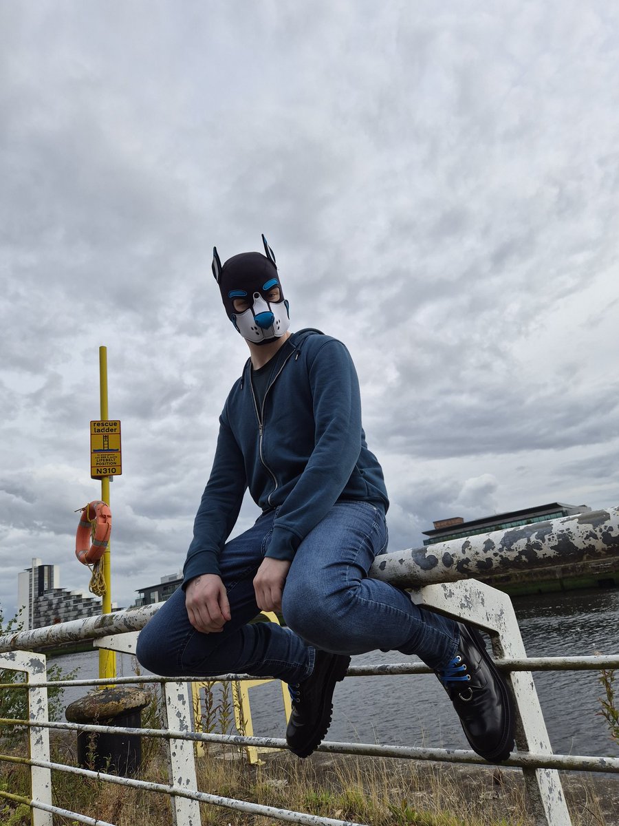 hyperwolf1.bsky.social tweet media