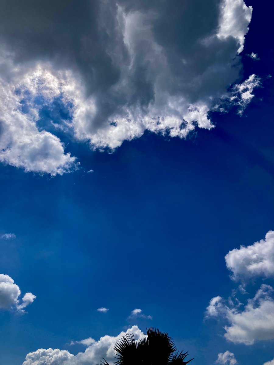 Abhishek Chaturvedi tweet media