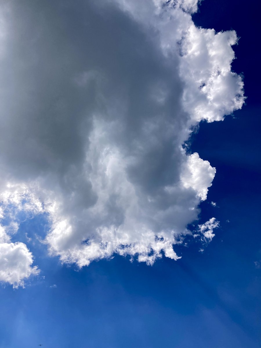 Abhishek Chaturvedi tweet media