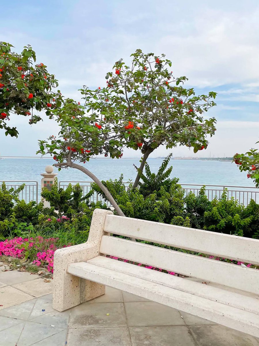 ولي يوم سأرحل دون ريبٍ
فهلا ما نشرتُ نشرتموهُ

لعل الله يجزينا بخيرٍ
وما من سيء عني ادفنوهُ