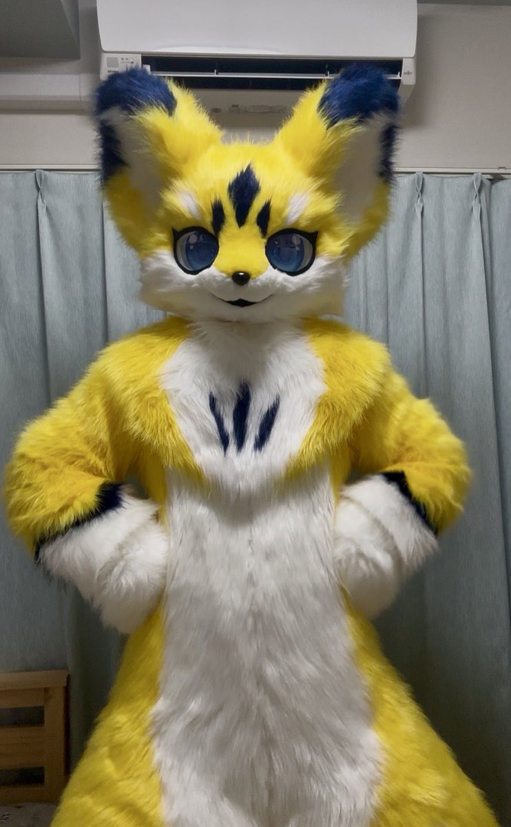 Terun_fur's tweet photo. ｢夏休みの宿題｣

〜写真日記〜

今日はお散歩に行こうとしました🐾
わくわくで１階に降りて玄関の扉を開けました🚪
お外は雨で、歩くなとお天道様に言われてるみたいでした☔️

そんなお天道様の言いつけを守り今日はお家の警備をしました。

たぶん偉い💮 https://t.co/gjjqRcxnGc