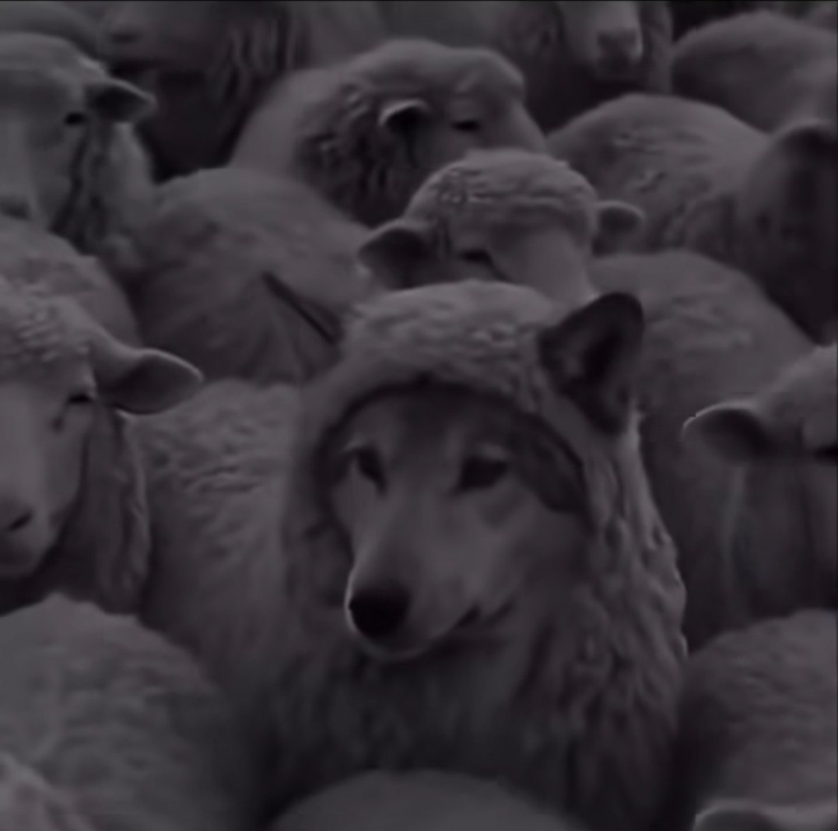 sct369's tweet image. How it feels to work a 9-5 so you can buy more Monero