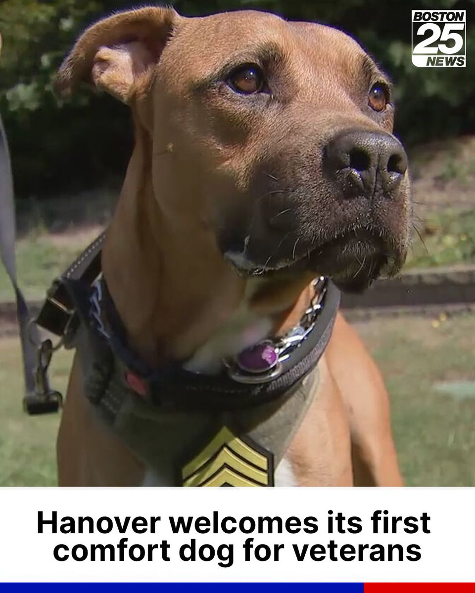 A South Shore town just started up a one-of-a-kind program aimed at supporting veterans.

boston25.com/47wWuGU