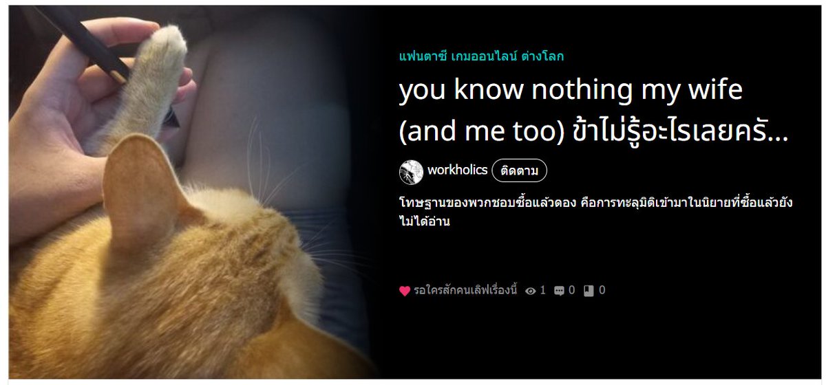 คนอื่นเขียนแฟนตาซีปังๆ ส่วนนี้คือแฟนตาซีที่ผมอยากเขียน