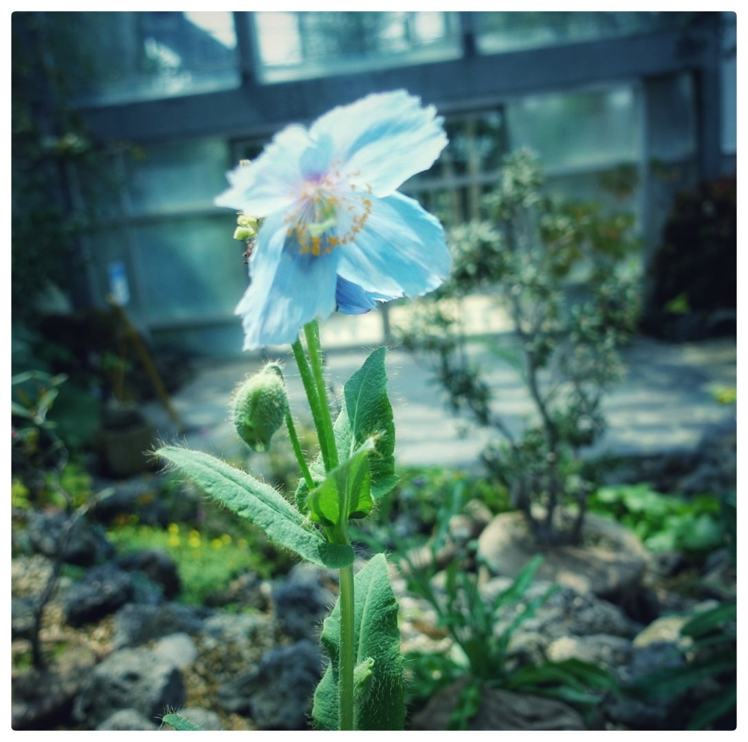 cafe_kaebi's tweet photo. life https://t.co/LHsXPOYcod