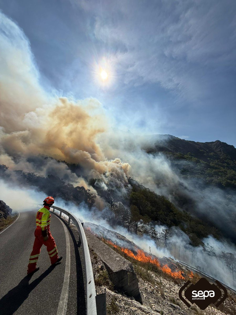 112Asturias's tweet photo. @sanchezcastejon @BomberosAstur @AdrianBarbon @BombersAndorra @BRIF_Ruente @guardiacivil @UMEgob @EjercitoTierra @g Efectivos de @BomberosAstur trabajando en #IFPonga, #Carangas. Perímetro controlado. https://t.co/bA2HORZJQx