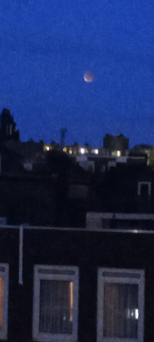 OnRusthof's tweet image. O! Ik zie hem! #bloedmaan #maansverduistering