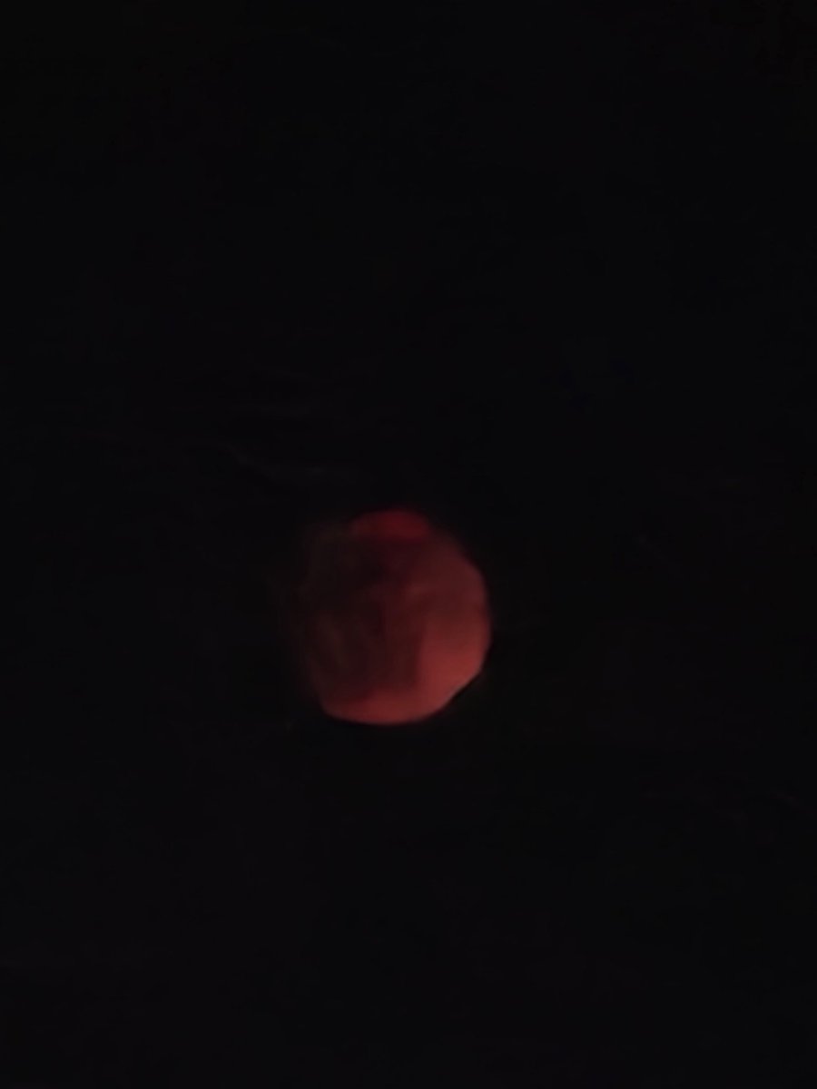 MaoreJulius's tweet photo. Eclipse of the moon https://t.co/cswVWmAQVd