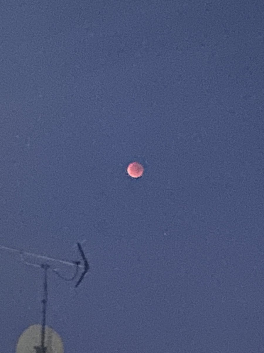 本日、大井町ガーデン鑑定所

開運館
Address
東京都品川区大井1-50-5
阪急大井町ガーデン2階
Access
ＪＲ京浜東北線 「大井町駅」中央口より徒歩1分/りんかい線「大井町駅」Ａ2口より徒歩1分/東急大井町線「大井町駅」より徒歩3分
Tel
03-3775-7167
Open - Close
10：00～20：00
高山玉麗