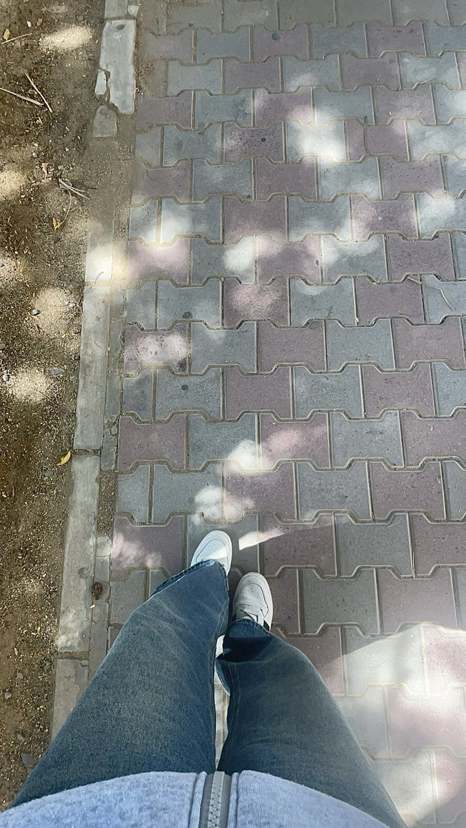 لاما🪽. (@valon1v) on Twitter photo 