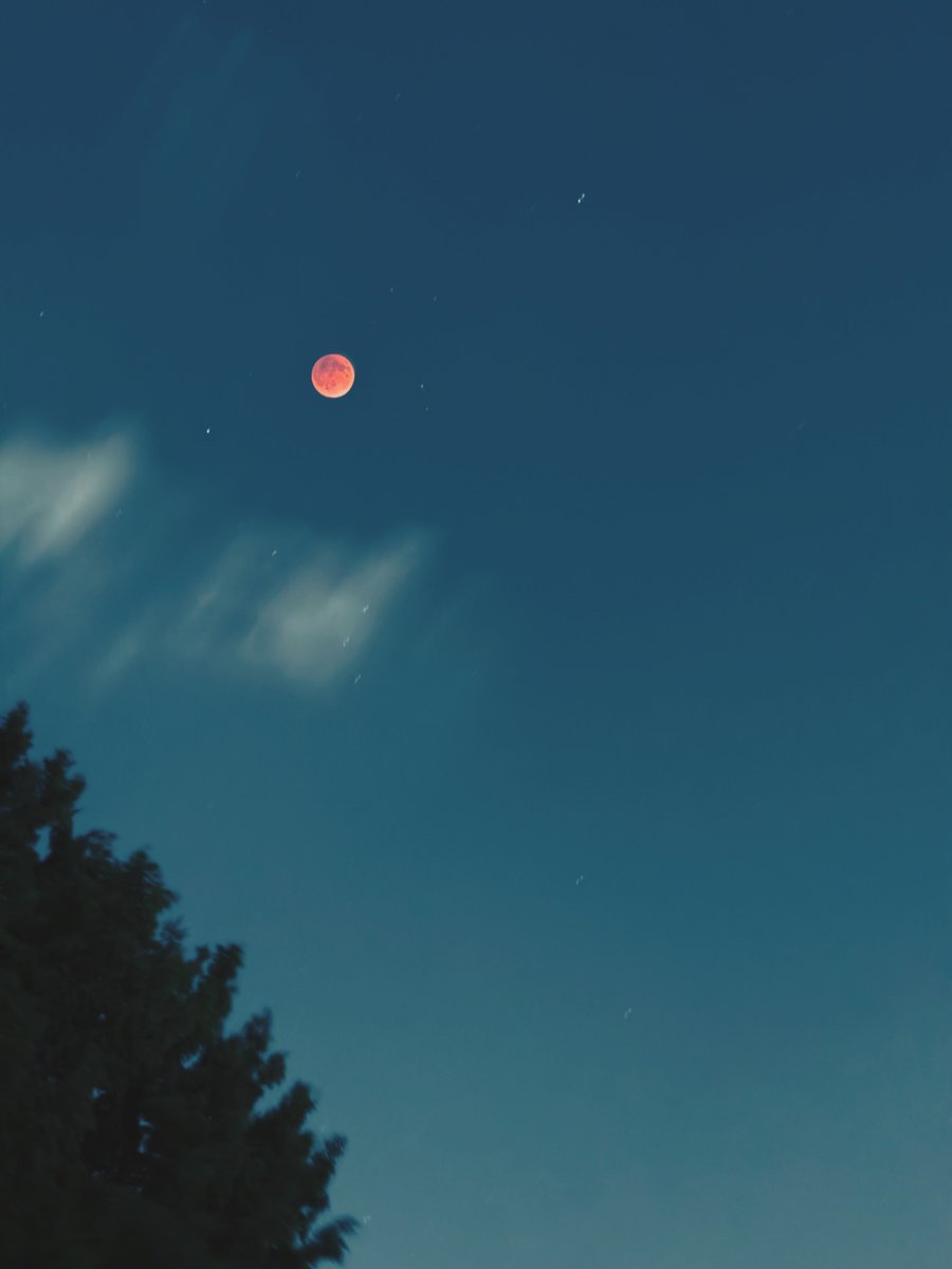 Артем Киберзавод tweet media