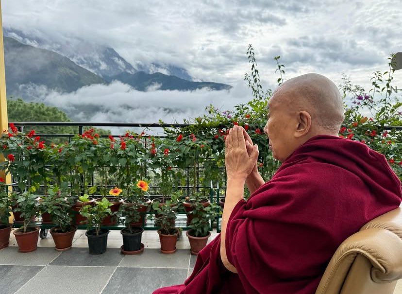 thinleeee's tweet photo. His Holiness the Dalai Lama enjoying the early morning view from his residence in Dharamsala 🪷 https://t.co/ScW0jyQIKM
