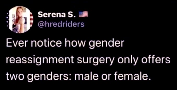 QUESTION: Why don’t doctors provide more than two gender reassignment options? Surely there is a market for Transgender Male, Transgender Female, Non-Binary, Genderqueer, Genderfluid, Agender, Bigender,Two-Spirit, Intersex, Demiboy, Demigirl, Androgynous, Polygender, or Neutrois.