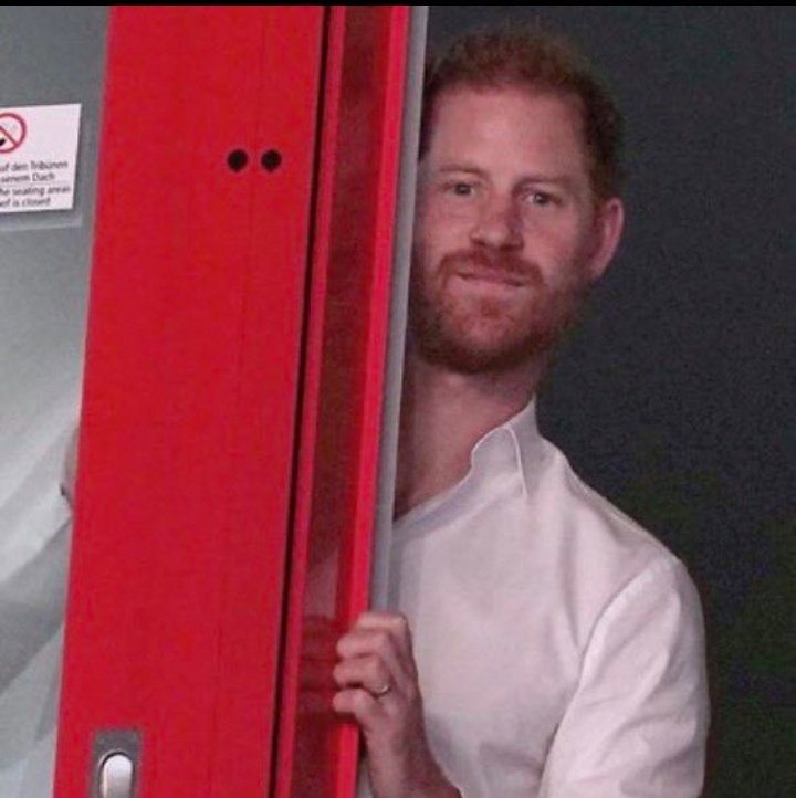 The British public is going to watch Prince Harry do all this for free and wonder why they are paying for William and his wife's 3rd home and 9th vacation of 2025