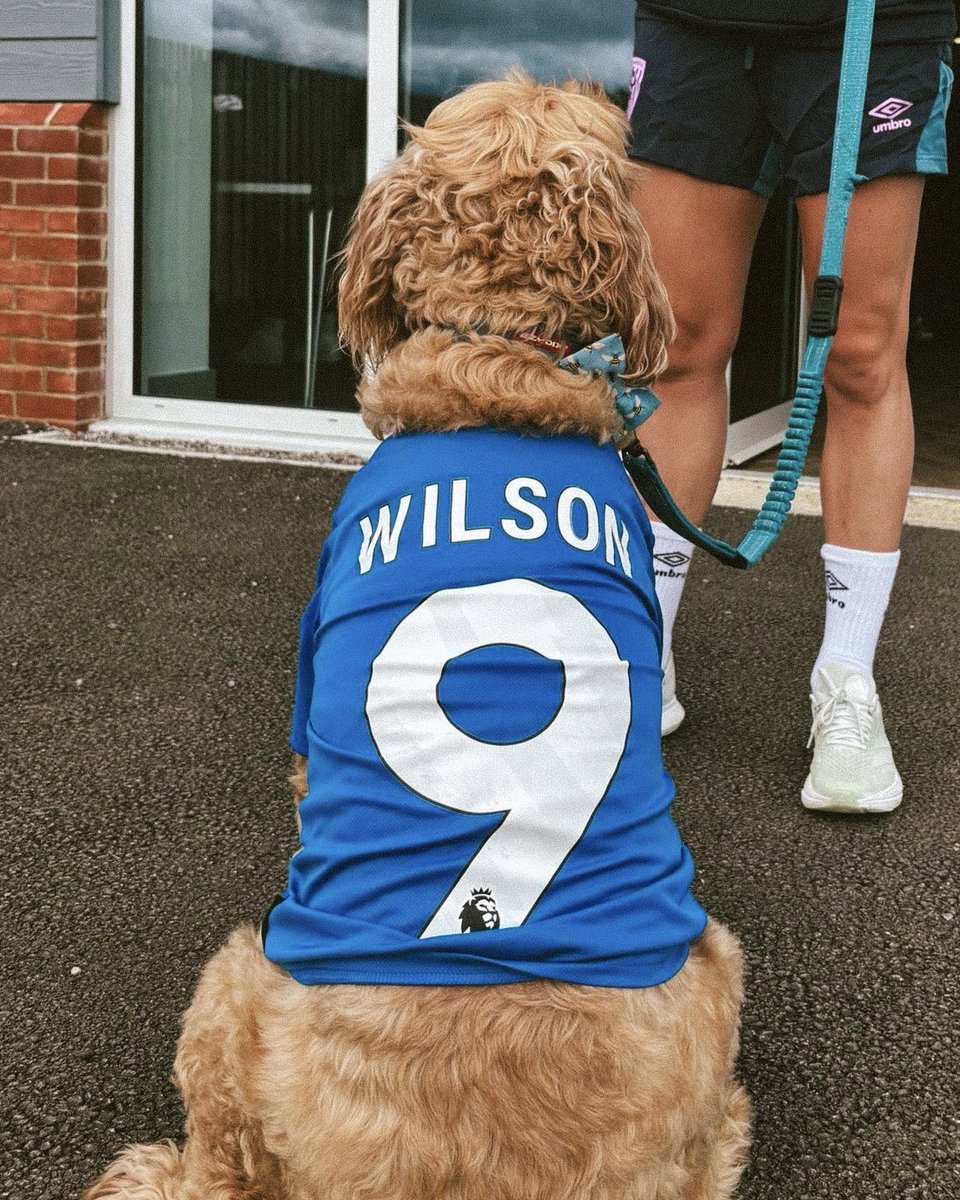 3️⃣ points, 2️⃣ goals, 1️⃣ very good boy 🐶

Georgia Wilson's dog Eddie representing the Cherries today 🍒💙