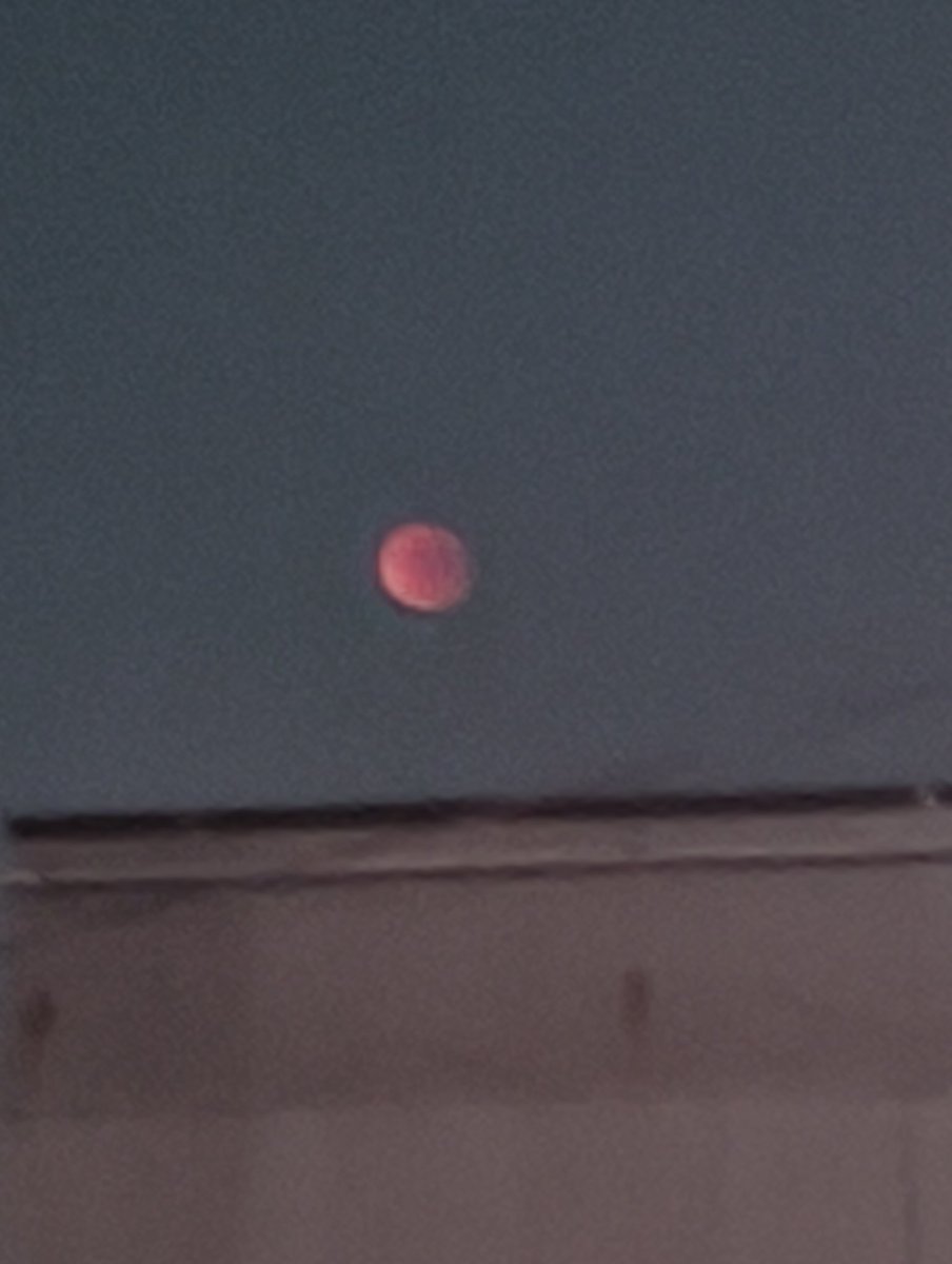 しりうす (@siriusarc7) on Twitter photo 