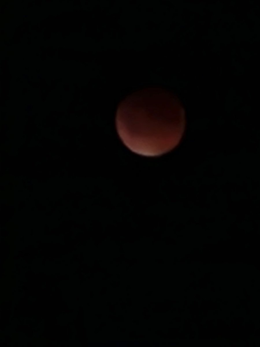 hopefulcircus's tweet photo. Blood Moon 
#LunarEclipse https://t.co/DqCfsR0xnX