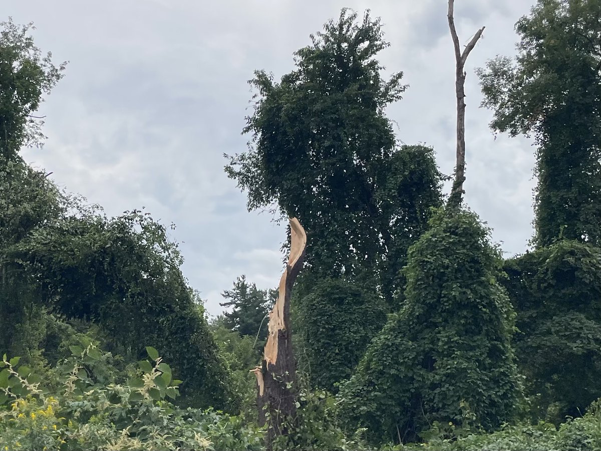 Mike Tittmann tweet media