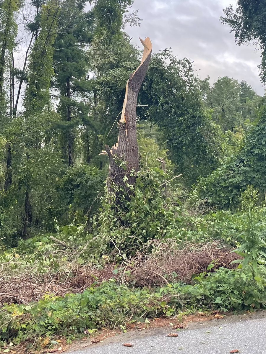 Mike Tittmann tweet media