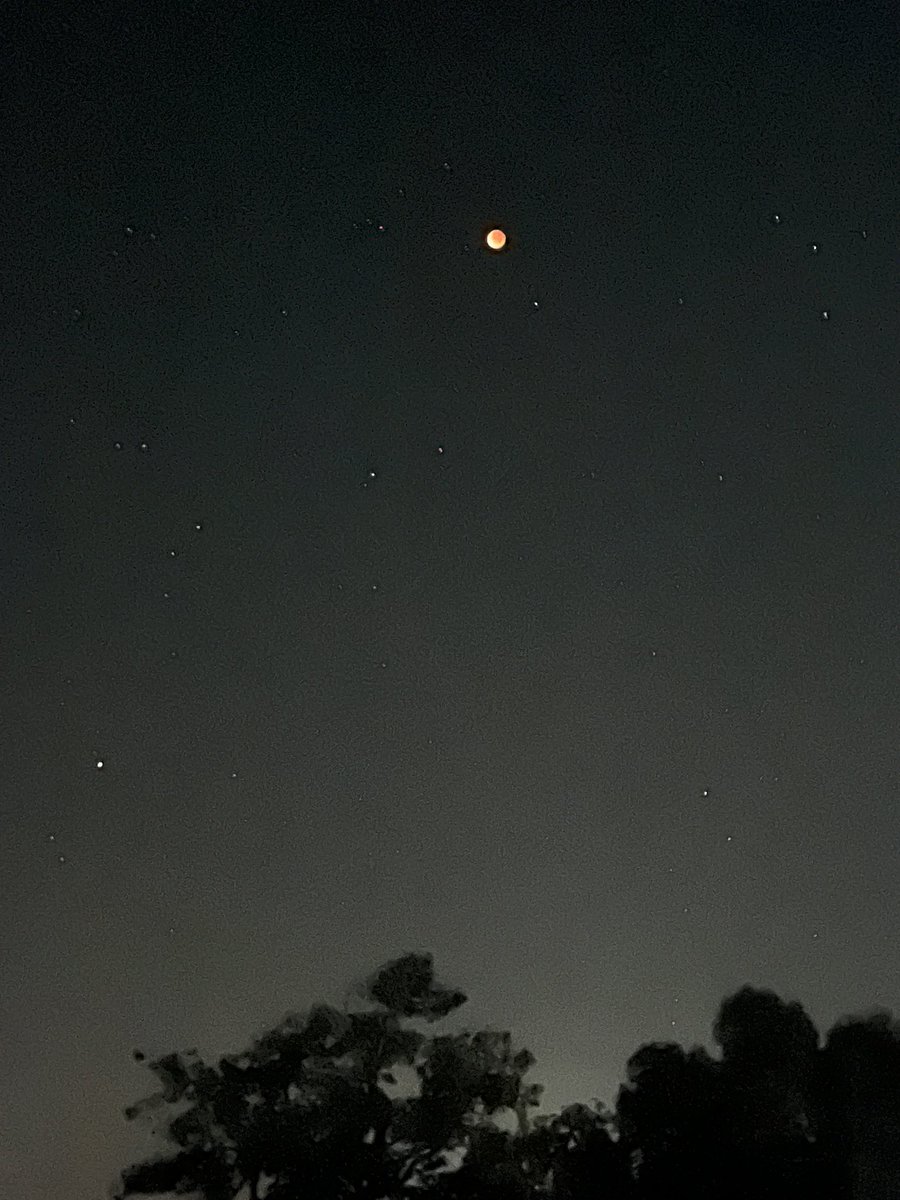 皆既月食見れた！