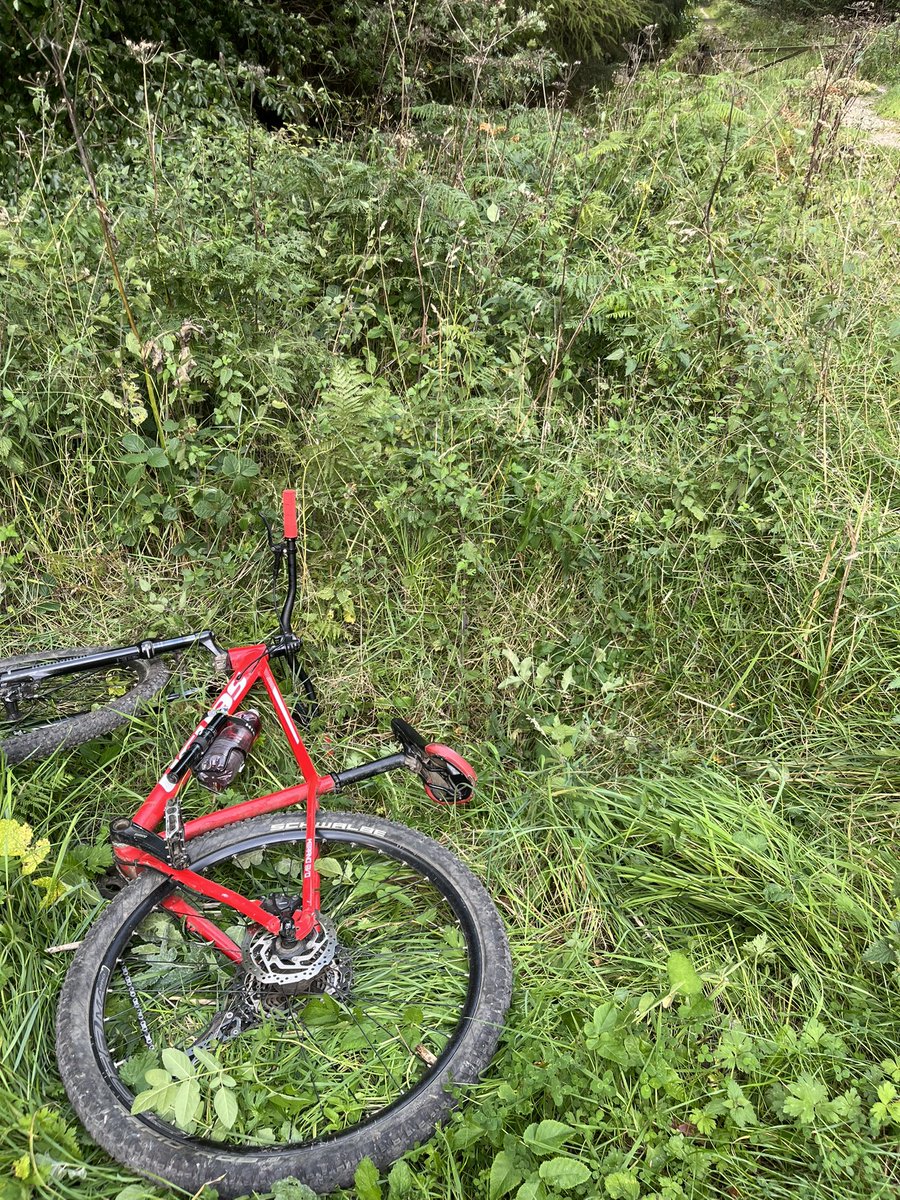 Al Nok-Yart tweet media