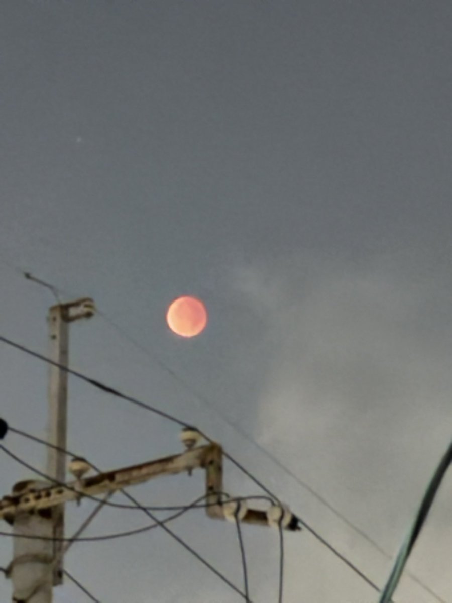 ごあき tweet media