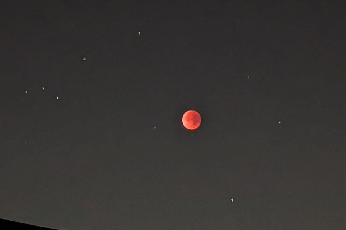 スマホだとこれが限界
でもめっちゃ綺麗…