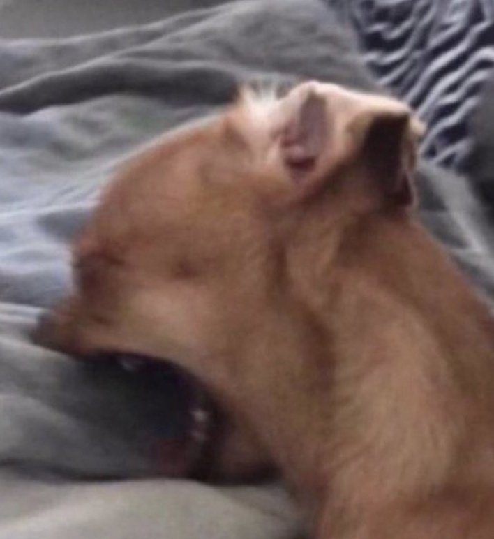 Byona mubikole, but I will never recommend a civilian man with too much love to love a police woman.