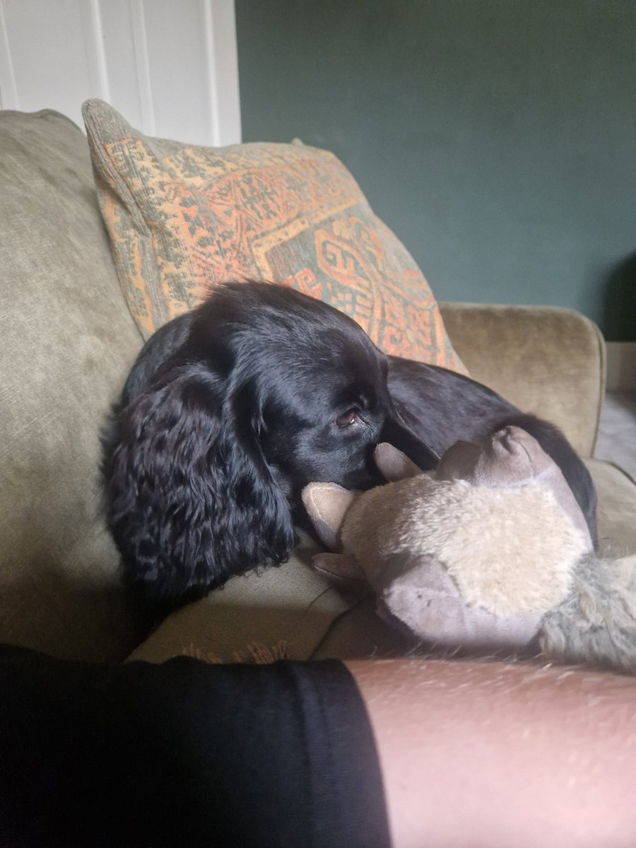 The best wingman for today's football games! #NFLKickoff