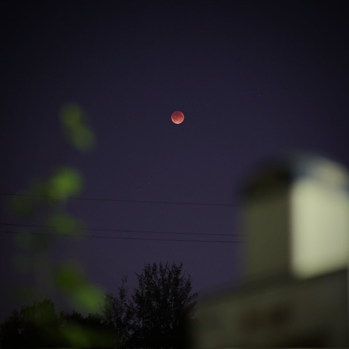 Лунное затмение  #Прямосейчас #mooneclipse