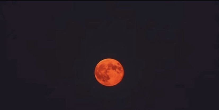 اللهم ارحمنا إذا برق البصر وخسف القمر وجُمع الشمس والقمر، اللهم اجعل خسوف القمر هذا رحم لنا ولا تؤاخذنا بذنوبنا ولا تنزل غضبك علينا واغفرلنا وارحمنا يا ارحم الراحمين . 
#خسوف_القمر