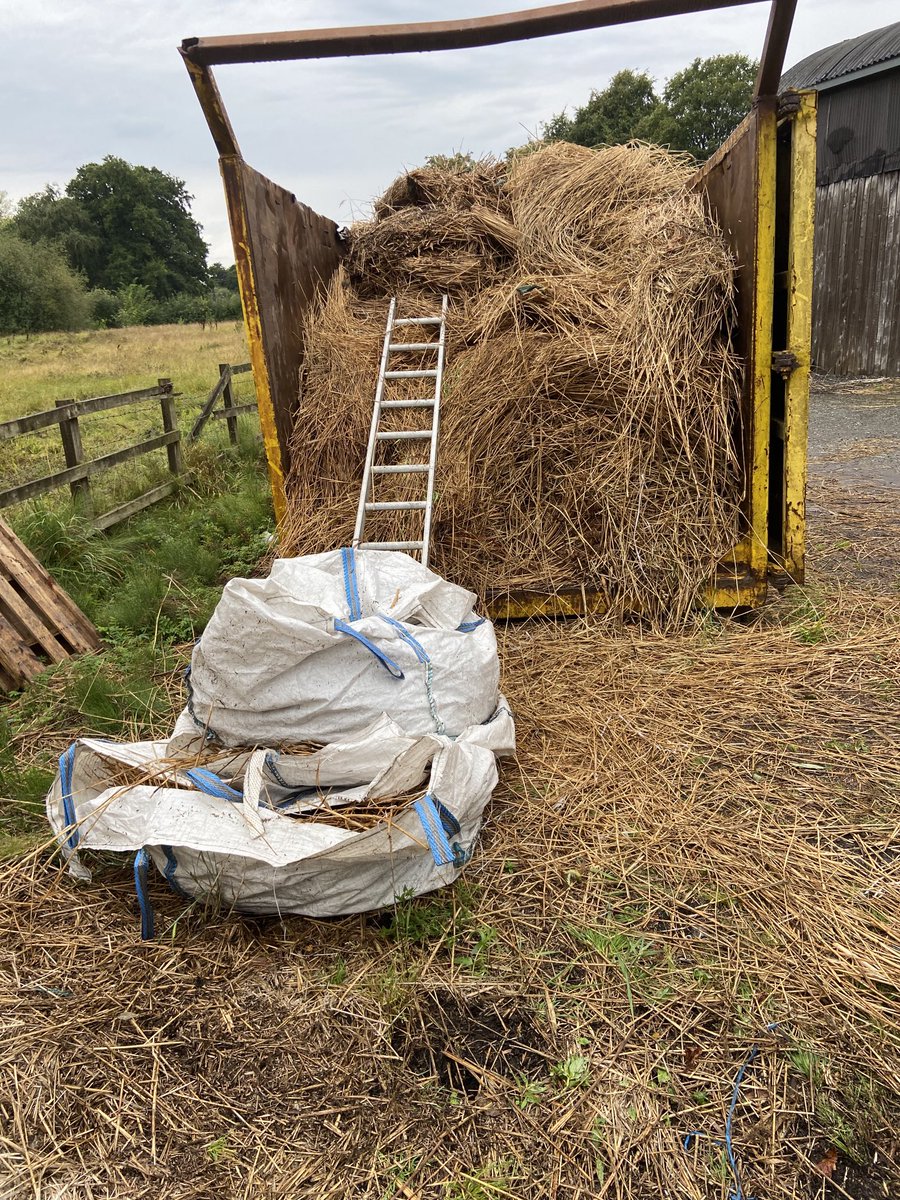 masterthatcher2's tweet image. Another nearly full skip of waste thatch. When we are undertaking re-thatching jobs we would need at least one of these a week. #Thatching.