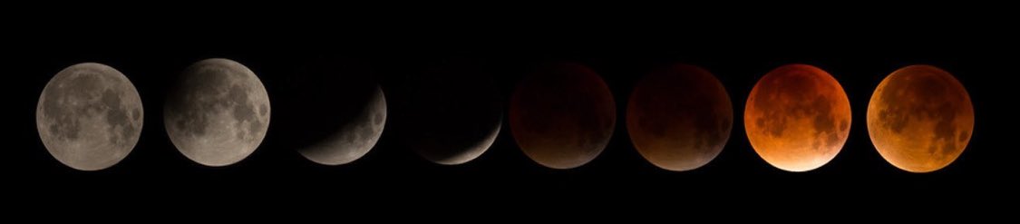 صورة تم التقاطها اليوم لجميع مراحل الخسوف 🌒