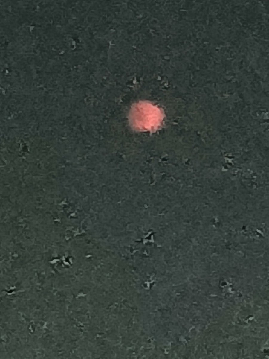 RED MOON