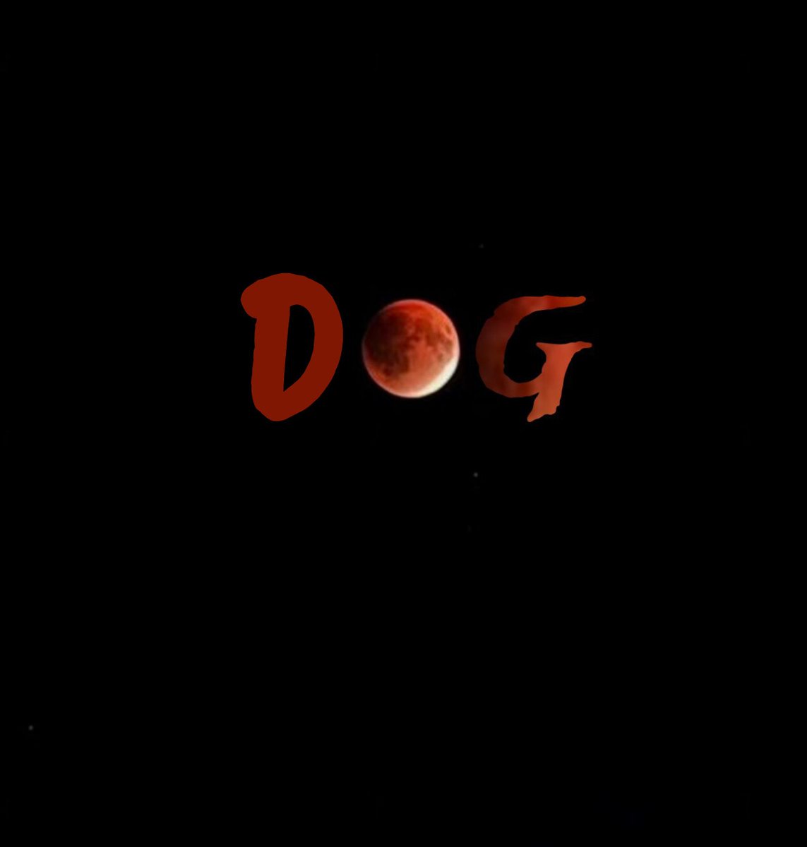 HarshaVardhan🐉 (@harsha2_) on Twitter photo 