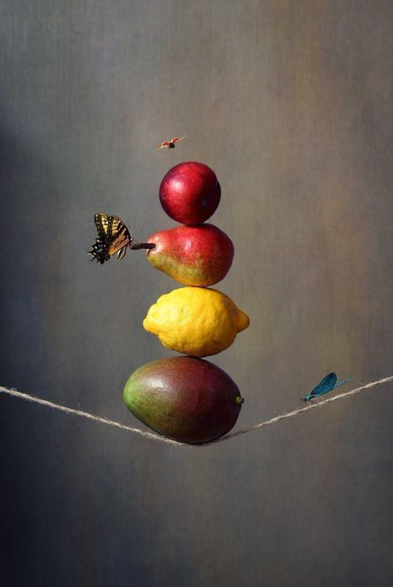 S_Galimberti (@s_galimberti) on Twitter photo 