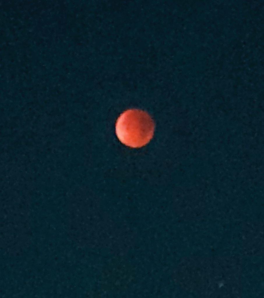 今日は皆既月食ですね🌕
スマホで撮ってみました📷✨
