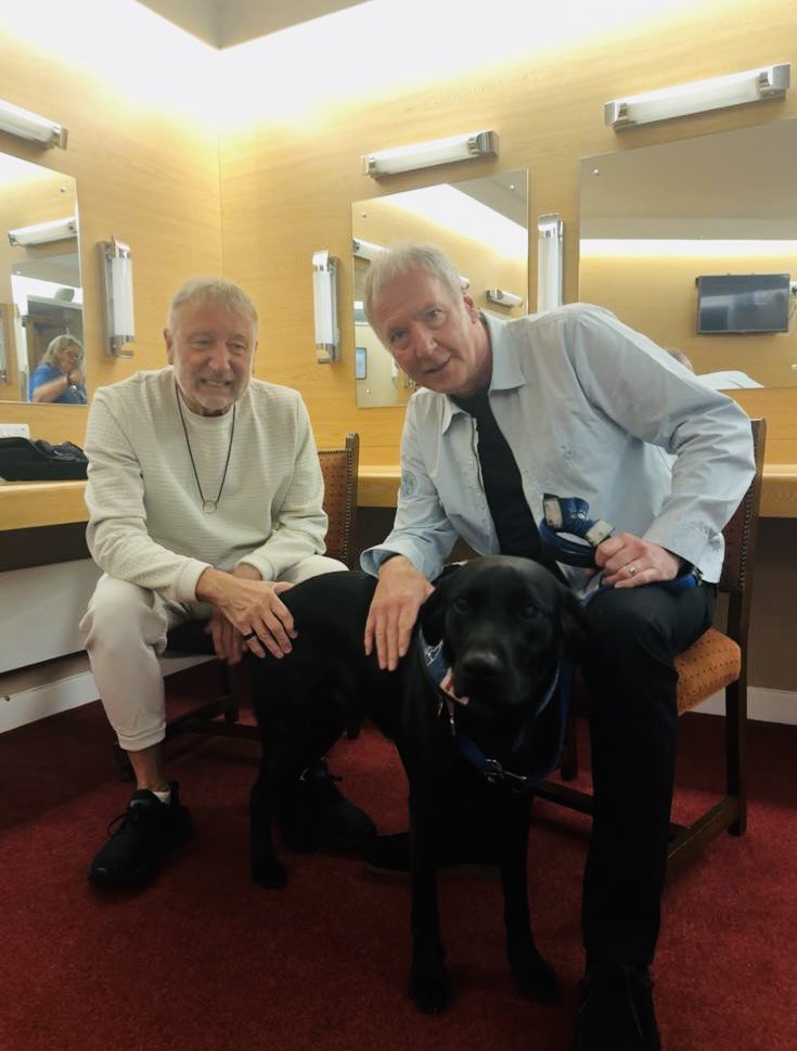 peterhook's tweet image. Great to be raising money for @supportdogsuk with tonight’s event here in Sheffield with @therealboon…
This is Gary the Labrador, one of many that will be trained to become assistance dogs!
@SheffCityHall