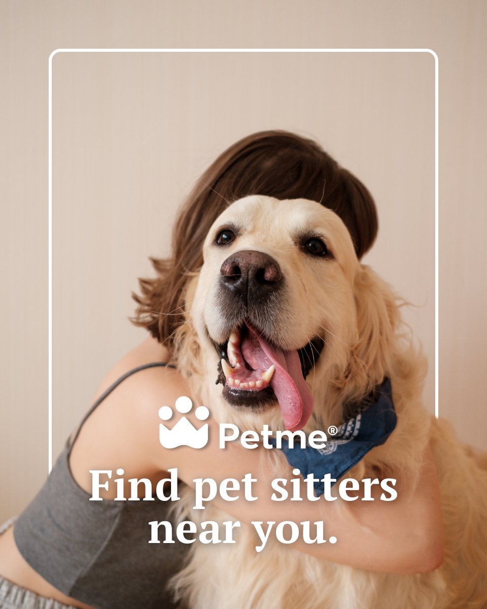 petmesocial's tweet photo. Pet sitting has changed.

The days of a simple bio and a photo are over. Petme is home to the new standard for pet sitting, where sitters prove their care with real, unfiltered clips. You deserve to see the happy moments before you book.

See the difference. Download Petme. https://t.co/jApgt6vI4Q