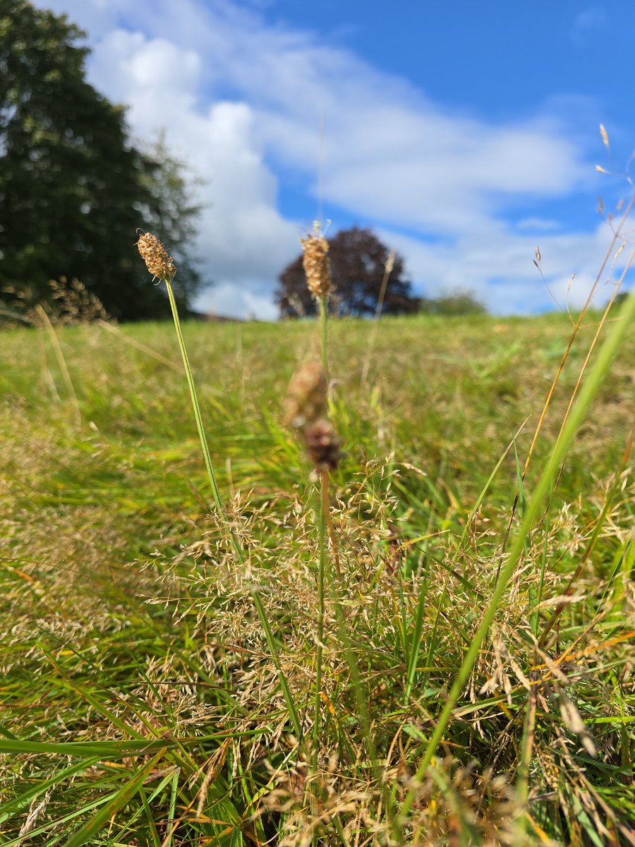 This has been my classroom so far this term ❤️

And my rucksack of essentials for our outdoor learning lessons. 

Getting children outside, properly exploring their local environment has been amazing and the biodiversity they've discovered has blown all our minds.
