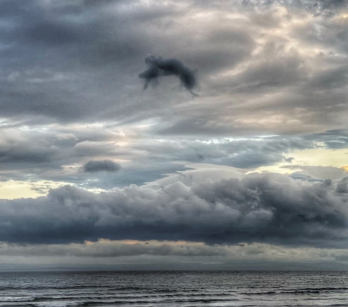 A giant mouse in the sky.